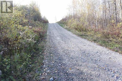 Lot 1A Campbells Road, Timiskaming Remote Area, ON 