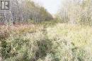 Lot 1A Campbells Road, Timiskaming Remote Area, ON 