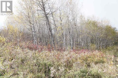 Lot 1A Campbells Road, Timiskaming Remote Area, ON 