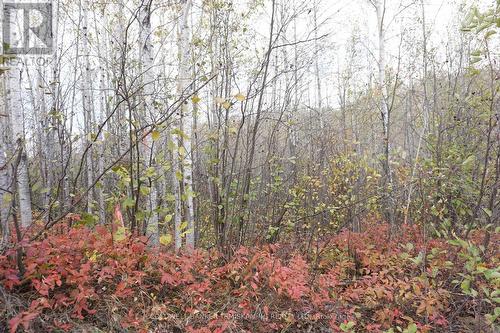 Lot 1A Campbells Road, Timiskaming Remote Area, ON 