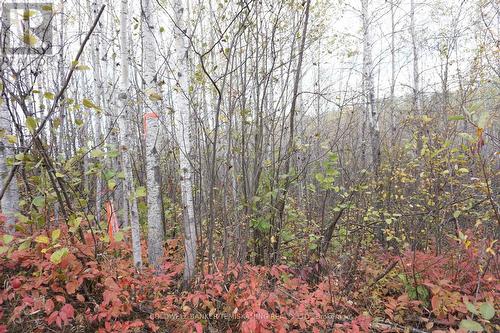 Lot 1A Campbells Road, Timiskaming Remote Area, ON 