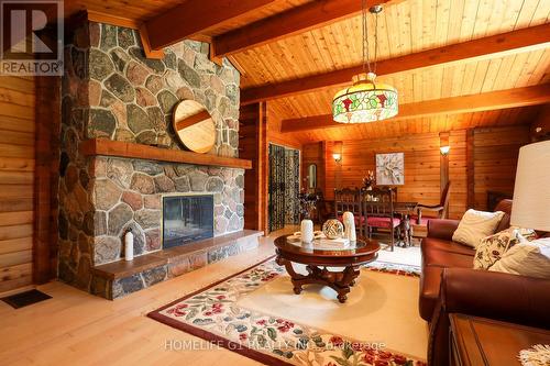 18917 Centreville Creek Road, Caledon, ON - Indoor Photo Showing Living Room With Fireplace