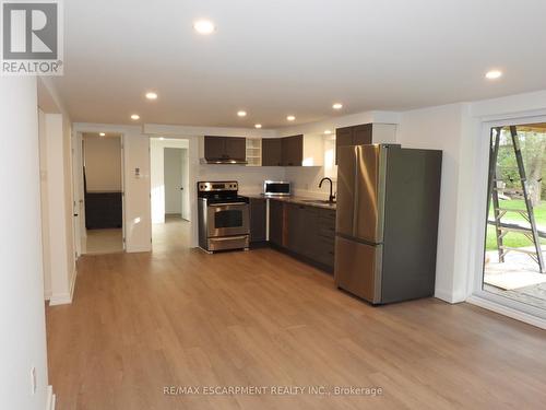 Lower - 7 Bayview Avenue, Hamilton, ON - Indoor Photo Showing Kitchen