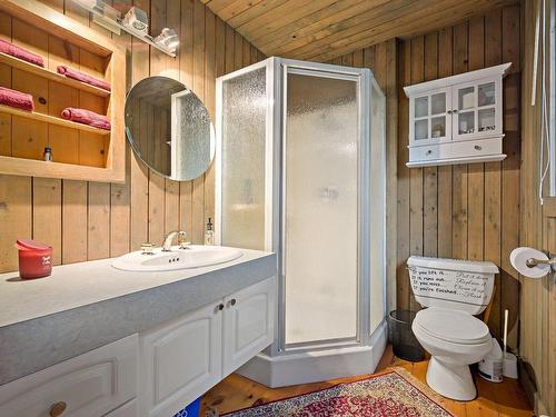 Loft - 965 Ch. Morgan, Saint-Adolphe-D'Howard, QC - Indoor Photo Showing Bathroom