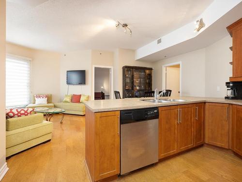 Overall view - 505-1455 Rue Towers, Montréal (Ville-Marie), QC - Indoor Photo Showing Kitchen With Double Sink