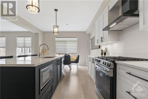 224 Pursuit Terrace, Ottawa, ON - Indoor Photo Showing Kitchen With Upgraded Kitchen