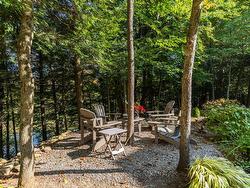 Wooded area - 