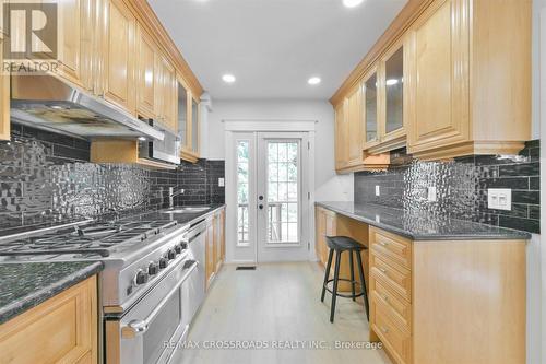 3 Haig Avenue, Toronto, ON - Indoor Photo Showing Kitchen With Upgraded Kitchen