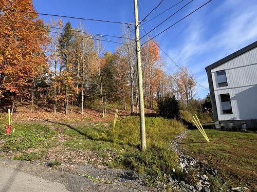 Land/Lot - 18 Rue Des Berges, Sainte-Adèle, QC 