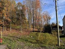 Land/Lot - 