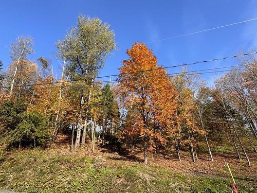 Land/Lot - 19 Rue Des Berges, Sainte-Adèle, QC 