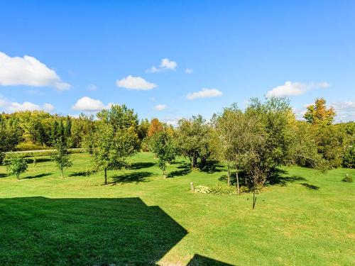 Backyard - 238 Rue Principale, Saint-François-Xavier-De-Brompton, QC - Outdoor With View