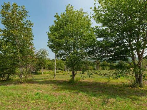 Lot 2 Highway 19, Hawleys Hill, Mabou, NS 