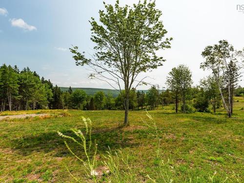 Lot 3 Highway 19, Hawleys Hill, Mabou, NS 