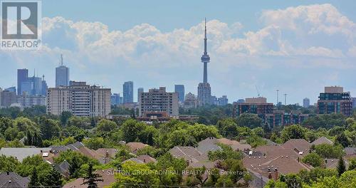 314 - 1030 Sheppard Avenue W, Toronto, ON - Outdoor With View