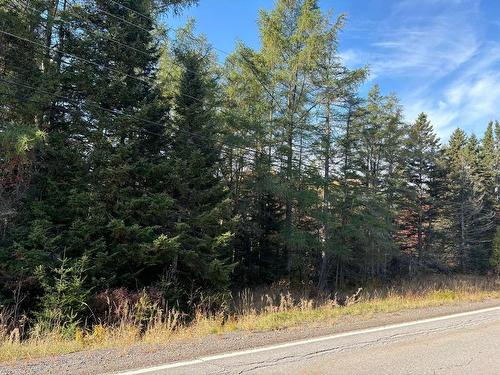 Land/Lot - Route Du Petit-Moulin, Saint-Bruno-De-Kamouraska, QC 