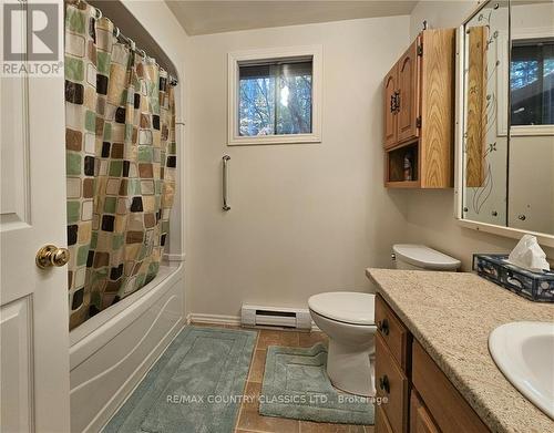 1282 Kamaniskeg Lake Road, Hastings Highlands, ON - Indoor Photo Showing Bathroom