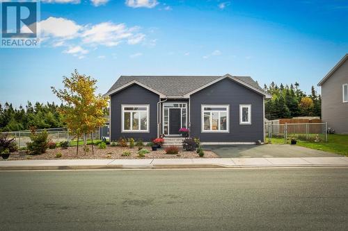 66 Diamond Marsh Drive, St.John'S, NL - Outdoor With Facade