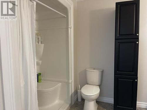 17 Brown Crescent, Gander, NL - Indoor Photo Showing Bathroom