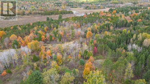 745 Otter Creek Road, Tweed, ON - Outdoor With View