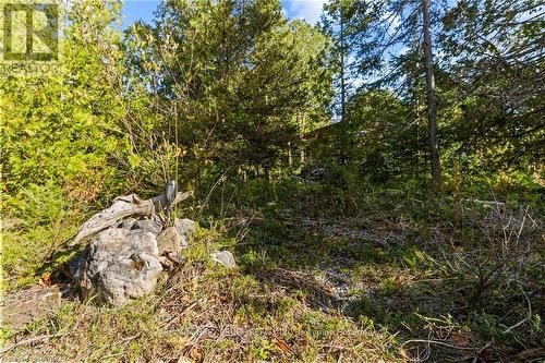 529 Lindsay Road 30, Northern Bruce Peninsula, ON - Outdoor