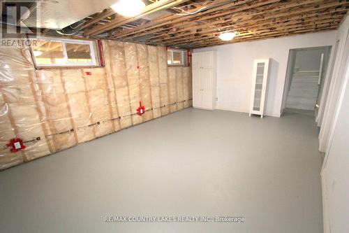 113 Stanley Road, Kawartha Lakes, ON - Indoor Photo Showing Basement