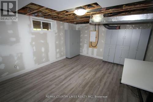 113 Stanley Road, Kawartha Lakes, ON - Indoor Photo Showing Basement