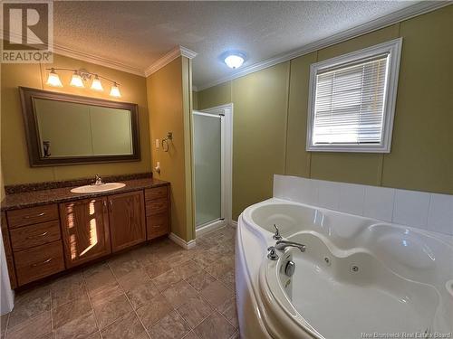 439 Allee De L'Ecole, Grande-Digue, NB - Indoor Photo Showing Bathroom