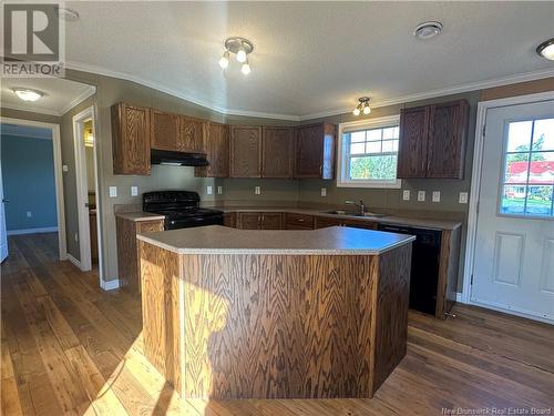 439 Allee De L'Ecole, Grande-Digue, NB - Indoor Photo Showing Kitchen With Double Sink