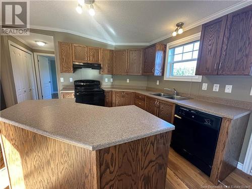 439 Allee De L'Ecole, Grande-Digue, NB - Indoor Photo Showing Kitchen With Double Sink