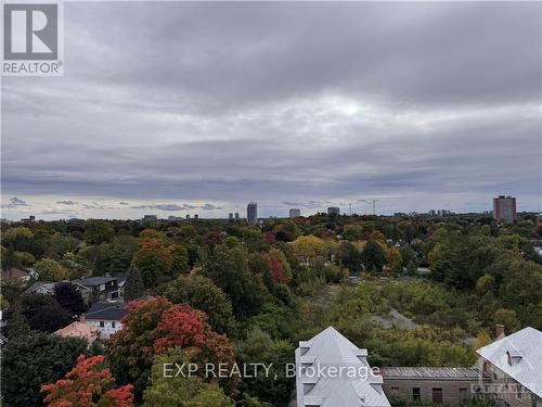 107 - 108 Richmond Road, Ottawa, ON - Outdoor With View