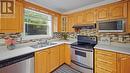 129 Moss Heather Drive, St. John'S, NL  - Indoor Photo Showing Kitchen With Double Sink 