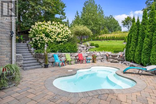 13 Bridle Trail, Springwater, ON - Outdoor With In Ground Pool With Deck Patio Veranda With Backyard