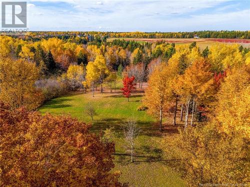 1566 Saint Charles Sud Road, Saint-Charles, NB - Outdoor With View