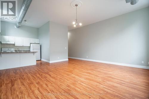 208 - 76 Dalhousie Street, Brantford, ON - Indoor Photo Showing Kitchen