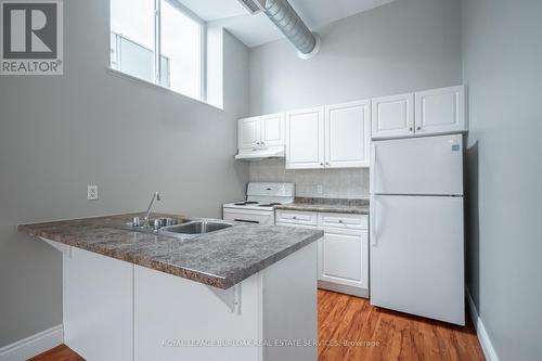 208 - 76 Dalhousie Street, Brantford, ON - Indoor Photo Showing Kitchen With Double Sink