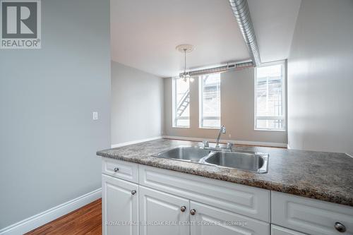 208 - 76 Dalhousie Street, Brantford, ON - Indoor Photo Showing Kitchen With Double Sink