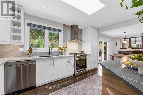 46 Terrace Drive, Hamilton, ON - Indoor Photo Showing Kitchen With Stainless Steel Kitchen With Upgraded Kitchen