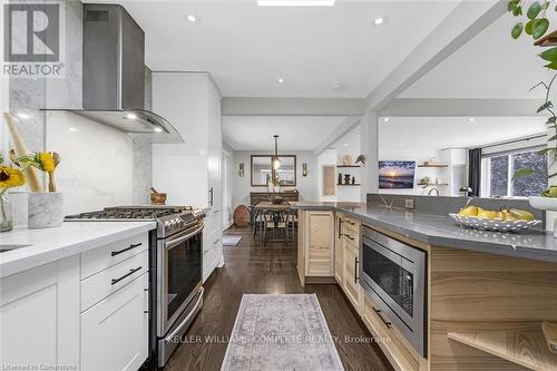 46 Terrace Drive, Hamilton, ON - Indoor Photo Showing Kitchen With Upgraded Kitchen