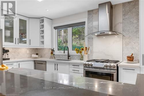 46 Terrace Drive, Hamilton, ON - Indoor Photo Showing Kitchen With Upgraded Kitchen