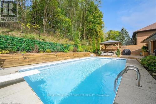 46 Terrace Drive, Hamilton, ON - Outdoor With In Ground Pool With Backyard