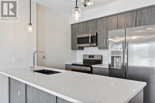 7887 Edgar Unit# 305, Windsor, ON - Indoor Photo Showing Kitchen With Stainless Steel Kitchen With Double Sink With Upgraded Kitchen