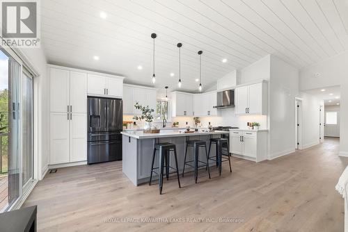 26 Murray Street, Kawartha Lakes (Fenelon Falls), ON - Indoor Photo Showing Kitchen With Upgraded Kitchen