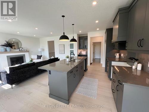 130 Graydon Drive, South-West Oxford (Mount Elgin), ON - Indoor Photo Showing Kitchen With Fireplace With Upgraded Kitchen