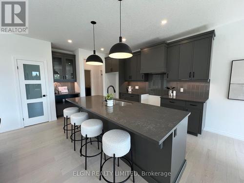 130 Graydon Drive, South-West Oxford (Mount Elgin), ON - Indoor Photo Showing Kitchen With Upgraded Kitchen