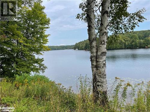 309 Echo Bay Road, Huntsville, ON - Outdoor With Body Of Water With View