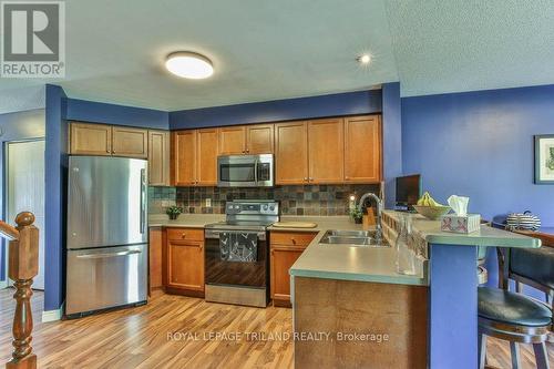 884 Marigold Street, London, ON - Indoor Photo Showing Kitchen With Double Sink