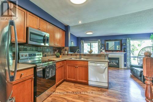 884 Marigold Street, London, ON - Indoor Photo Showing Kitchen With Double Sink