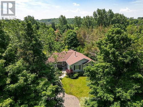 136 Maple Lane, Blue Mountains, ON - Outdoor