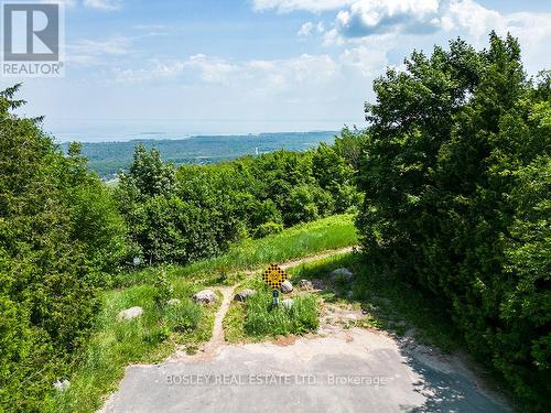 136 Maple Lane, Blue Mountains, ON - Outdoor With View